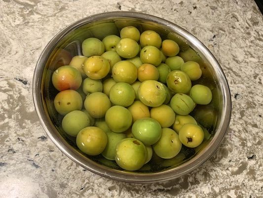 氷砂糖が入手不可 グラニュー糖で梅酒は作れる In アメリカ