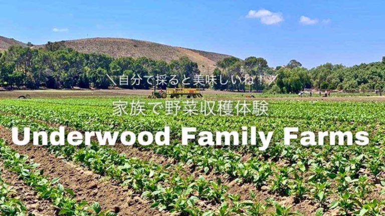 ロサンゼルス 人気のファーム Underwood Family Farms で野菜収穫体験